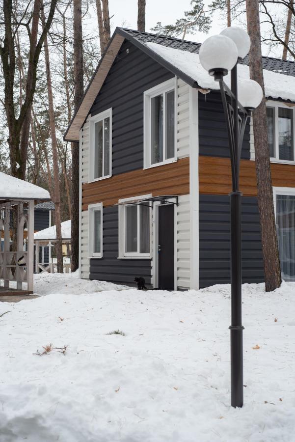 Vila Клуб Відпочинку Dacha Sokirno Exteriér fotografie