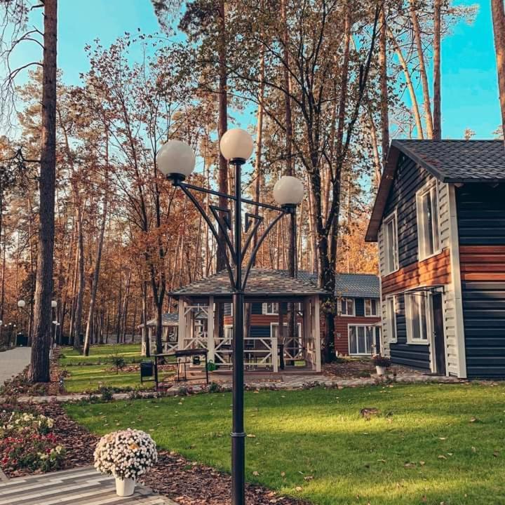 Vila Клуб Відпочинку Dacha Sokirno Exteriér fotografie